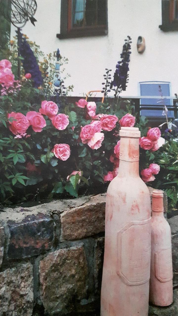 Landhotel "Lichte Aue" Lichtenau Stutzengrun Dış mekan fotoğraf